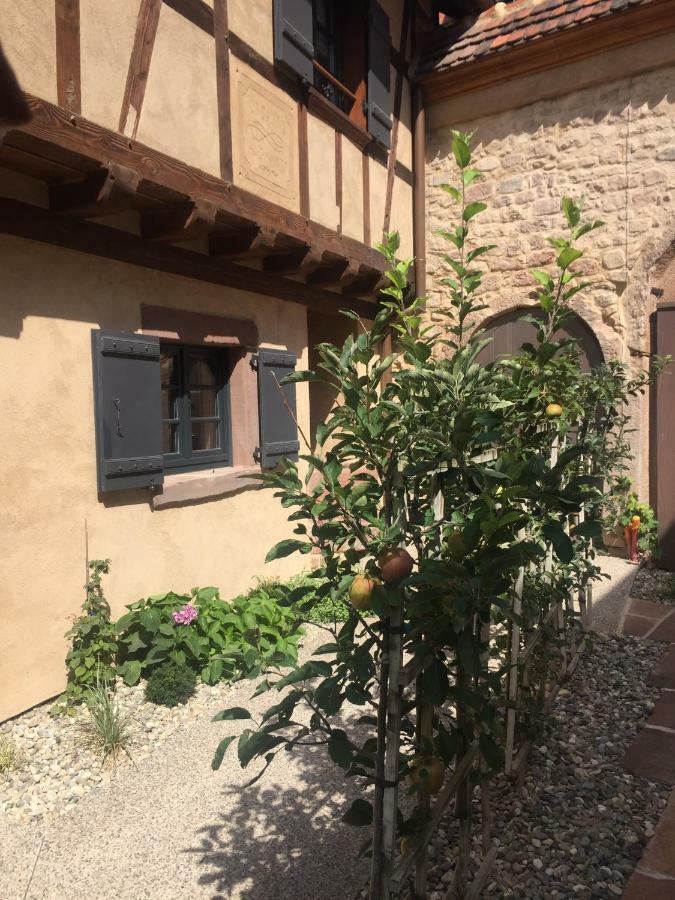 La Dependance D'Elisa Villa Epfig Exterior foto